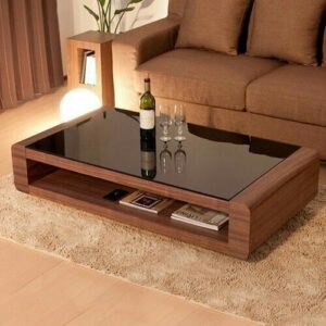 Nura Dual-Layer Minimalist Center Table with open shelf and drawer