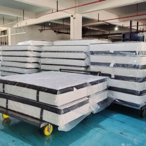 High-density foam and spring mattress for back support
