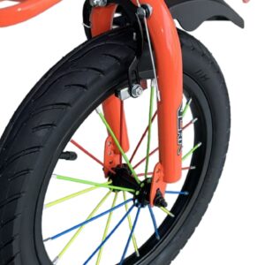 WhatsApp Image 2025-08-03 at 12.18.19 PM (2)