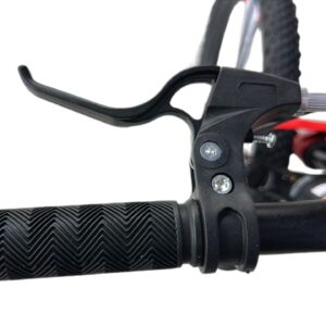 20 Inch & 22 Inch Kids & Teens Bike with Mag Wheels, Metal Frame, and Dual Disc Brakes 20 Inch & 22 Inch Kids & Teens Bike with Mag Wheels, Metal Frame, and Dual Disc Brakes