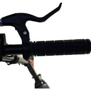 WhatsApp Image 2025-08-03 at 12.19.39 PM