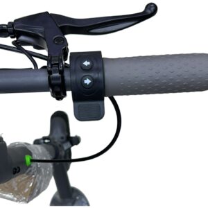 WhatsApp Image 2025-08-03 at 12.20.09 PM