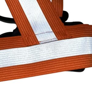 WhatsApp Image 2025-08-06 at 9.40.40 AM