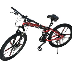 Kids and adults folding bike Sharjah