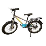 20 Inch Bicycle with Steel Frame, Wire Rim, Rider Seat and Carrier, Mud Guards, Dual Disc Brakes, Rear Reflector Light