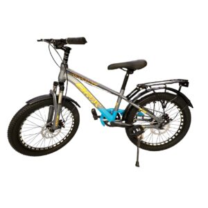 20 Inch Bicycle with Steel Frame, Wire Rim, Rider Seat and Carrier, Mud Guards, Dual Disc Brakes, Rear Reflector Light