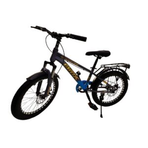 20 Inch Bicycle with Steel Frame, Wire Rim, Rider Seat and Carrier, Mud Guards, Dual Disc Brakes, Rear Reflector Light