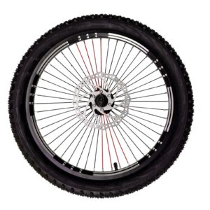 Road Star 20 Inch Kids Bicycle with Steel Frame, Air Tube Tyres, Front Shock, and Dual Disc Brakes Road Star 20 Inch Kids Bicycle with Steel Frame, Air Tube Tyres, Front Shock, and Dual Disc Brakes